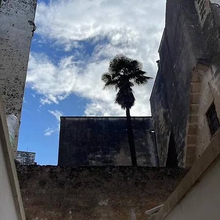 Il Giardino Sulla Basilica Dimora Di Charme Apartment *
